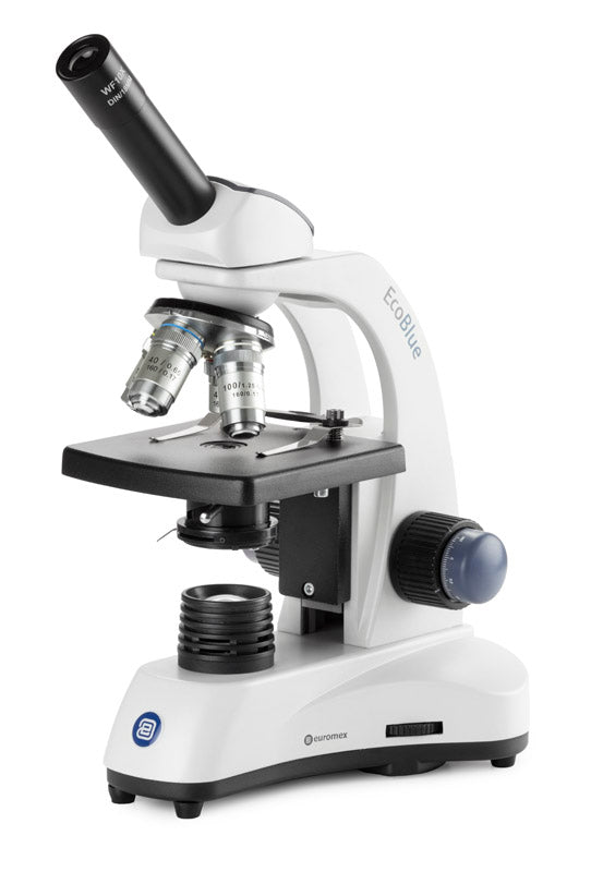 Microscopio Monocular Euromex EcoBlue, 4x-100x Oil y LED de 1W