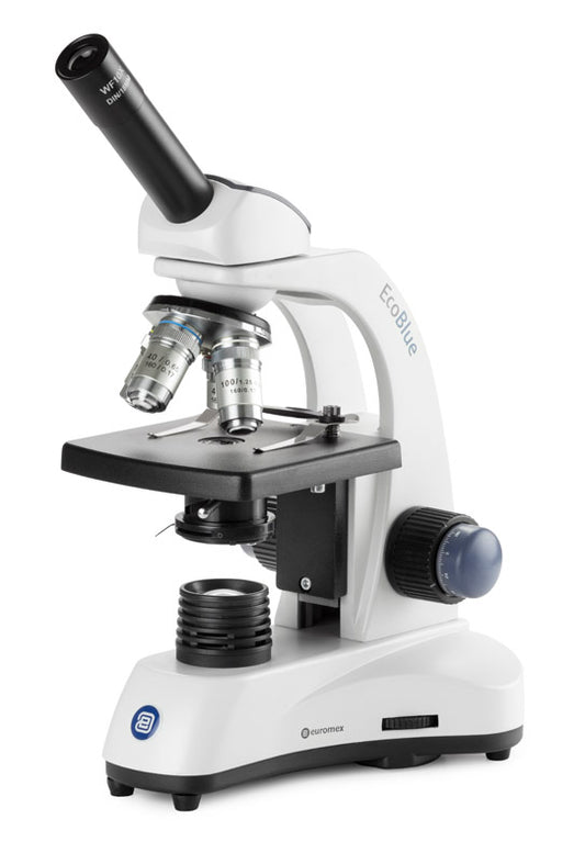 Microscopio Monocular Euromex EcoBlue, 4x-100x Oil y LED de 1W
