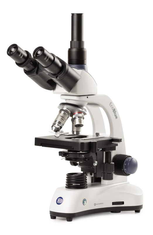 Microscopio Trinocular Euromex EcoBlue, 4x-100x Oil y NeoLED™ Cordless