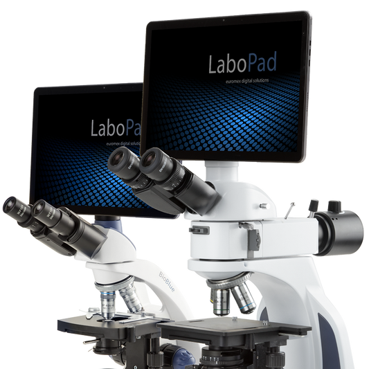 Tableta para Microscopio Euromex ProPad-5, Pantalla HD 10" y 5.0 MP