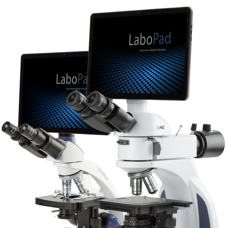 Tableta para Microscopio Euromex ProPad-12, 12.0 MP y Pantalla HD 10"